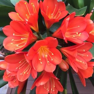 Meet your Posher, Chelsea